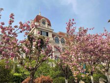 孔望尚府 五室 三厅 看房方便 看房方便