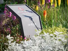 石坪桥 万科彩云湖三房