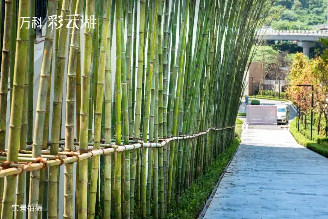 万科彩云湖实景图