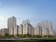 金科&金地商置·观天下