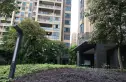 雅瑶绿洲实景图