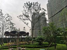 深业四季华庭4室2厅南