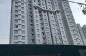 龙源·东郡实景图