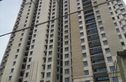 龙源·东郡实景图