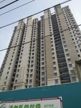 龙源·东郡实景图