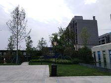 儒辰璟辰府宽厅洋房毛坯好位置全天采光