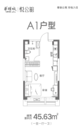 华耀城悦公馆1室1厅1厨1卫建面45.63㎡