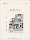 金融街·金悦府（顺德）B1/B2 102㎡户型