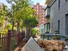 新上房源 花漾电梯洋房 好楼层 证过二