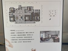 朝朝暮暮一梯一户大平层南北向带恒温游泳池业主急售