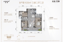 龙湖·天璞二期120㎡B户型