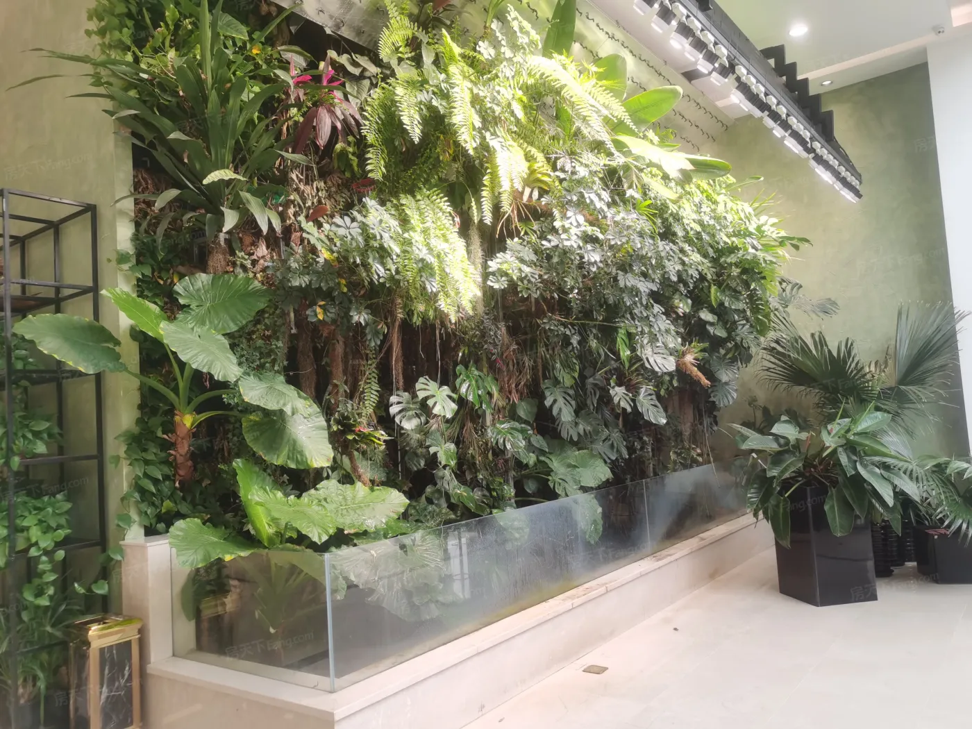 青怡坊昆兰-长春房天下