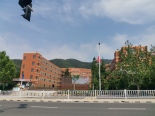 学校