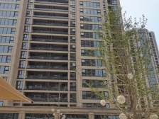 杨柳白鹭郡大平层 带个地下室 洋房公摊小纯改善社区