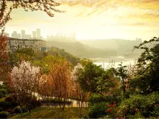 户型方正 采光性好 透气 业主诚心出