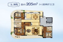 天禄湖花园205户型