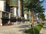 项目沿街环境实景图