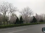 周边道路