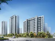中南君启