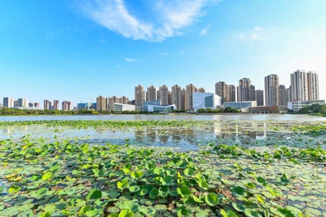 【保利中央公园】| 佛山市三水区云东海街道南丰大道66号保利中韵花园