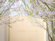 镜湖宸院 一叠二 带大院子 位置好 全新毛坯