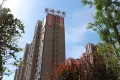 桑植·东城华府实景图