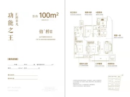 红星海河湾天铂3室2厅1厨2卫建面100.00㎡