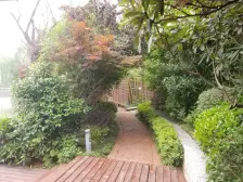 君悦湾 2室2厅 南