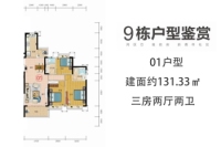 三期9号楼01户型图