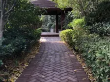 简约风格全新装修拎包入住南花园南临河 要看一套好房