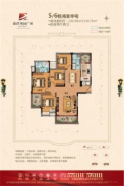 临澧奥园广场4室2厅1厨2卫建面141.00㎡