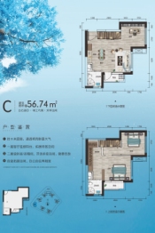 奥林·云溪海棠2室2厅1厨2卫建面56.74㎡