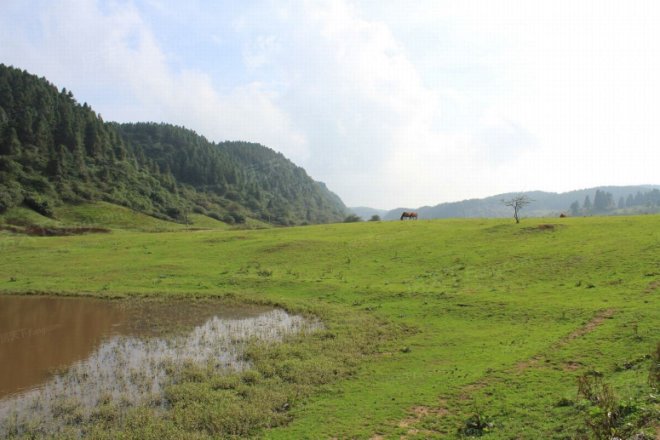 东原·千山原