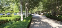 宁夏中房南岸阳光徕龙公园