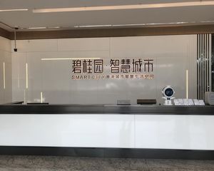 碧桂园智慧城市3室2厅北南