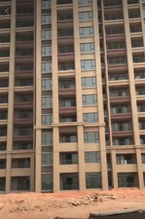 岐江东岸实景图