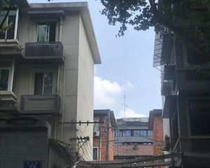 商业街25号 1室1厅 南