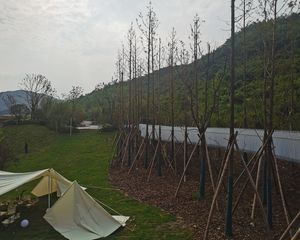 春山听湖,湖山叠墅,大露台,产权清晰
