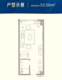 大华·龙悦1室1厅1卫建面53.00㎡