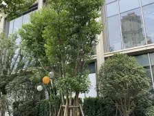 浅悦静庭次新小区教育资源丰富业主诚心出售