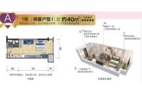 1栋建面40平A户型