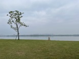 小区门口湖景