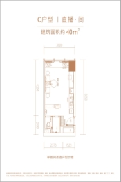 绿地·铂瑞中心建面40.00㎡