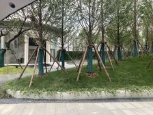 随时看房,中间楼层,精装新上房源