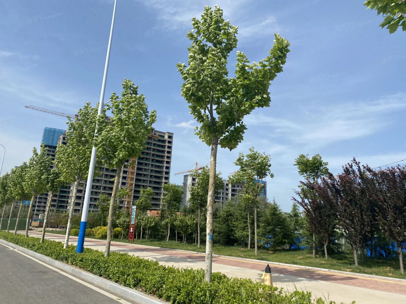 大栖地图片_样板间图_位置图_装修效果图-烟台房天下