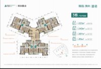 雅居乐美的·源著3栋平面图