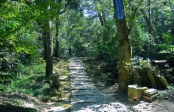 登山步道