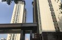 榕树苑实景图