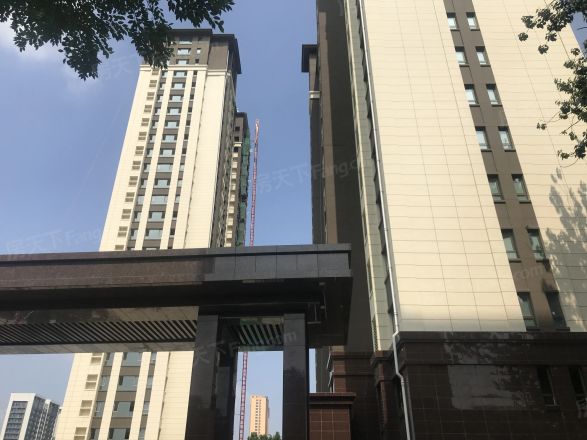 榕树苑实景图