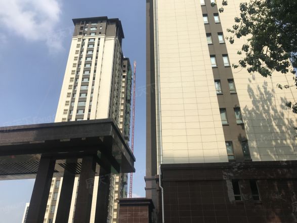 榕树苑实景图